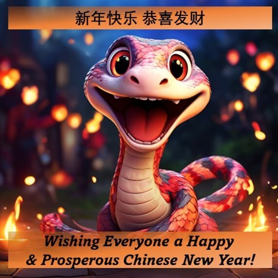 CNY2025-STL-1